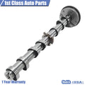 Intake Camshaft Timing Gear for Volkswagen Beetle Jetta Passat Audi A3 (2000–2023)