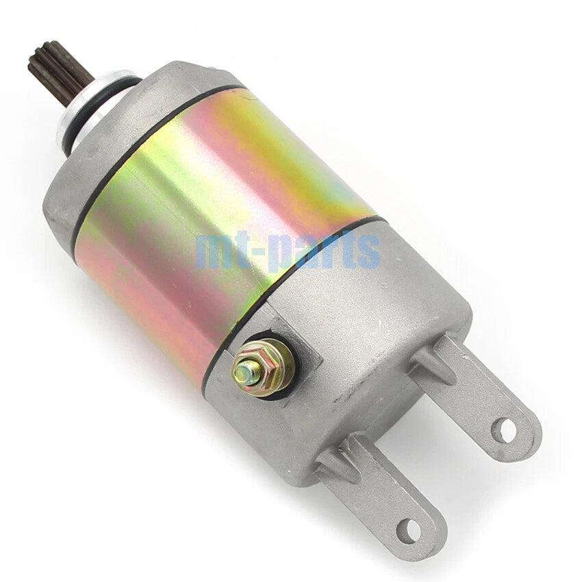 Starter Motor for Stels ATV 300B (LU019989, 2.1.01.6000)