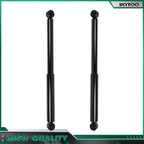 Rear Pair Shocks and Struts for Dodge Ram 1500 (2002–2008)