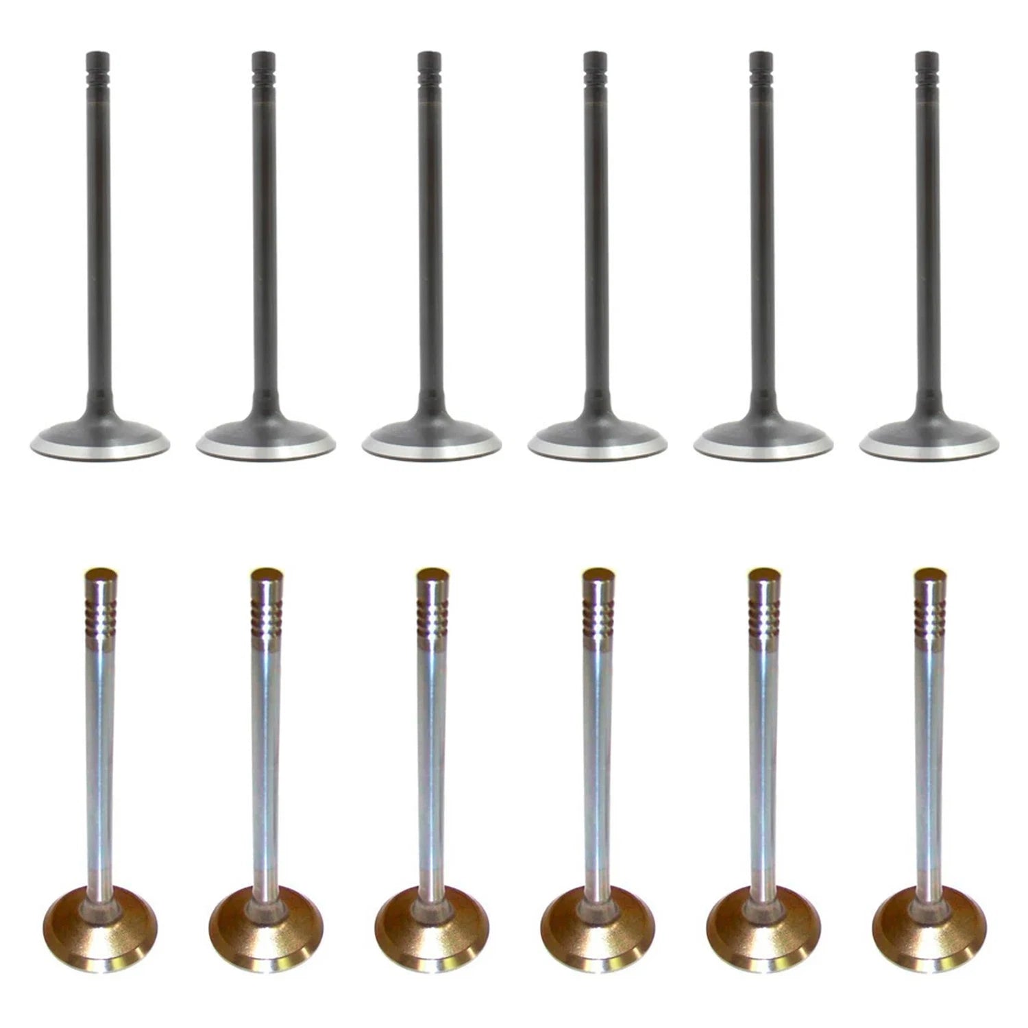 Set of 12 Intake & Exhaust Valves Kit for Dodge Grand Voyager (1996–2000)
