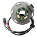 5 Wire Magneto Stator Generator for TM Racing TM85 TM125 TM250 (2001–2021)