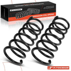 2X Rear Coil Springs for Hyundai Santa Fe (2001–2006)