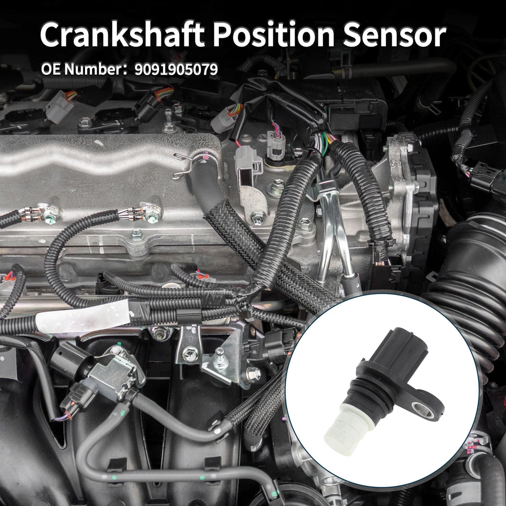 Crankshaft Position Sensor for Toyota Vitz F (2000–2005) No. 9091905079