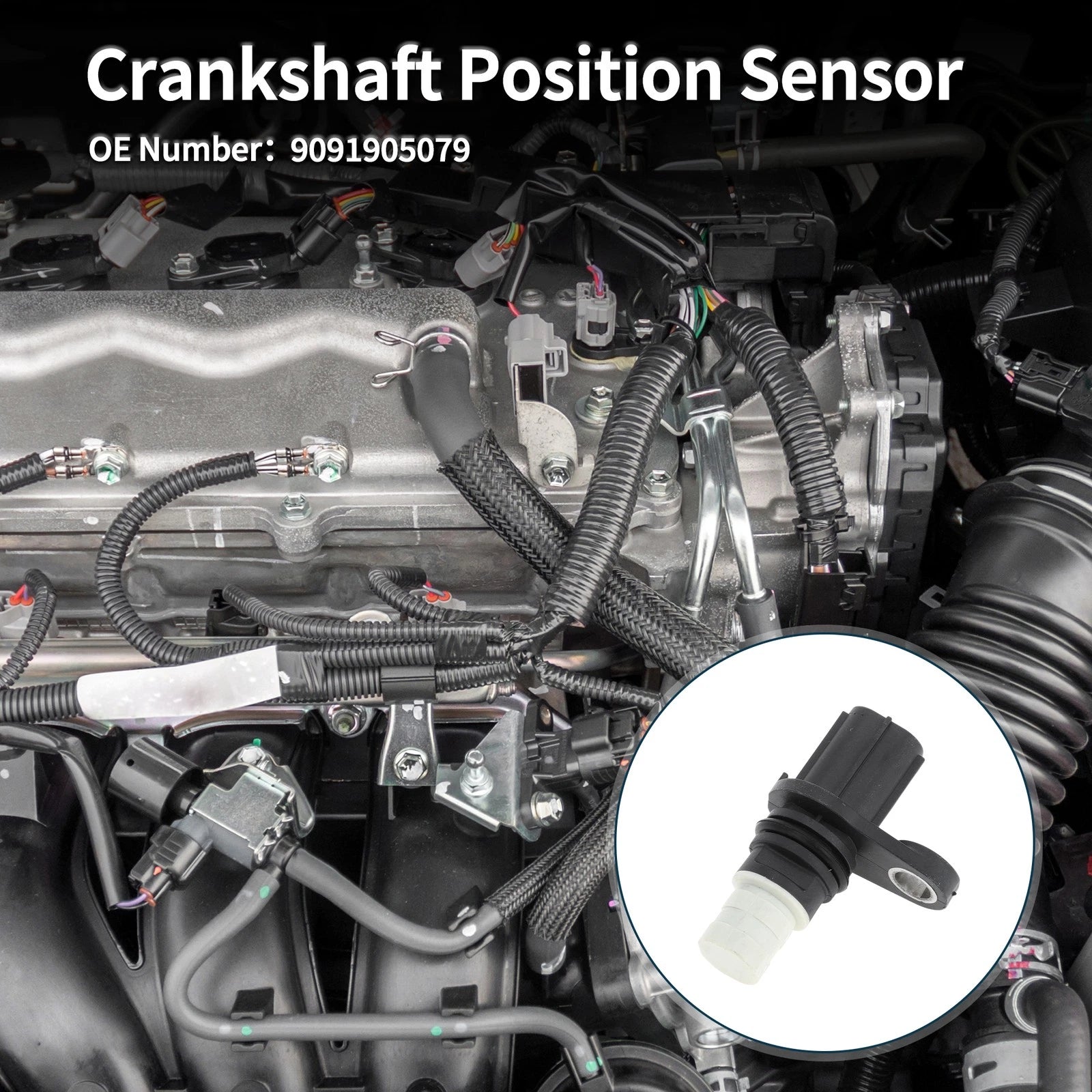 Crankshaft Position Sensor for Toyota Vitz F (2000–2005) No. 9091905079