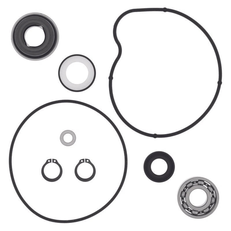 Water Pump Rebuild Kit for Yamaha YFM660R Raptor (2001–2005)