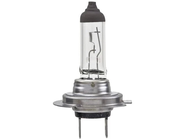 Low Beam Headlight Bulb for Mazda 6 (2009–2013) KV839PY