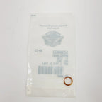 Banjo Washer for Harley-Davidson (12300033)