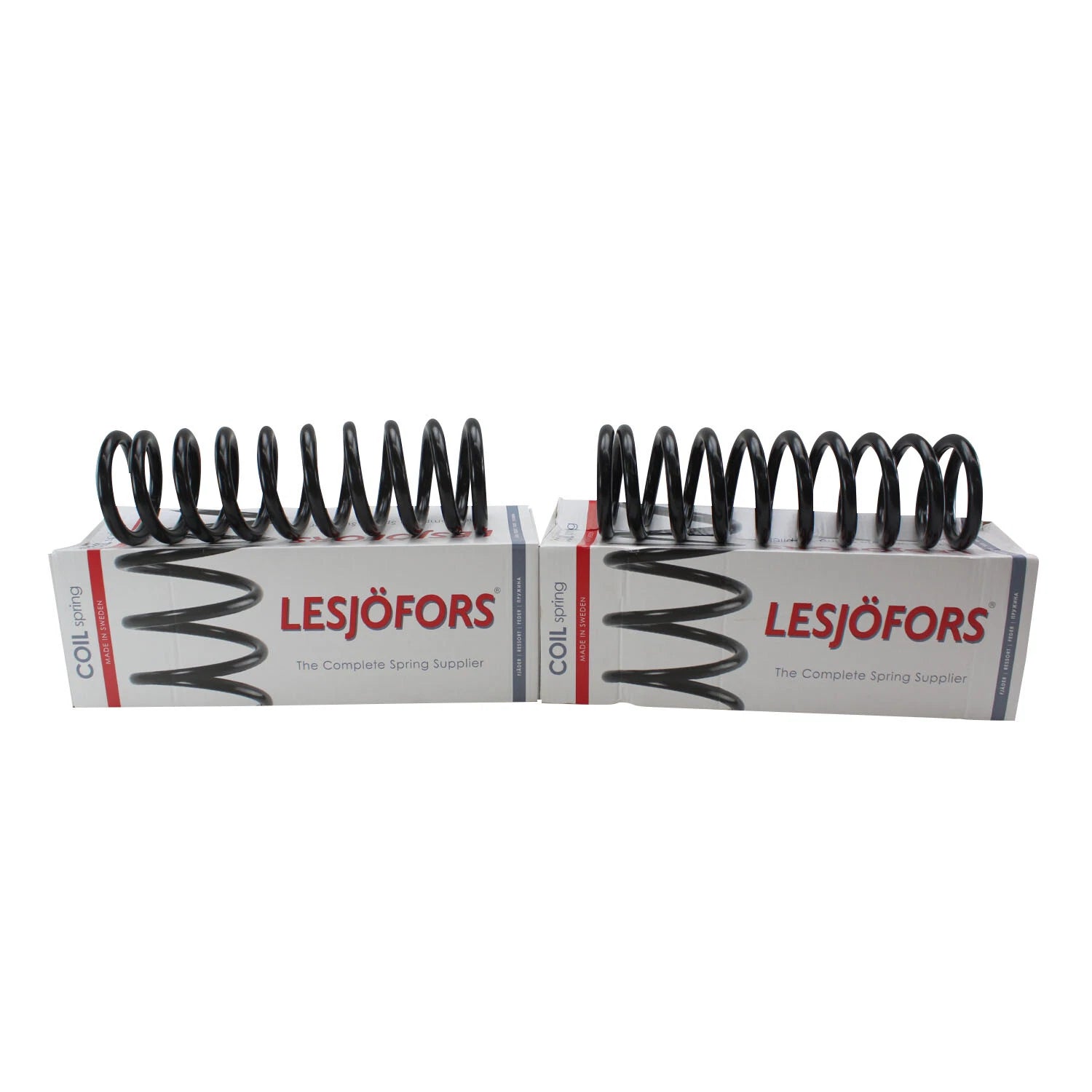 Front Coil Spring Kit for Buick Cadillac Chevy Pontiac (4112124)