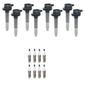 Set of 8 Ignition Coils & Denso Iridium Spark Plugs for F-150 Mustang V8