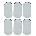 3X Pair Fuel Filter for Cummins ISX (FF5776, 2893612)