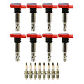 Set of 8 Ignition Coils & Spark Plugs for Audi R8 4.2 V8 (2007–2015)