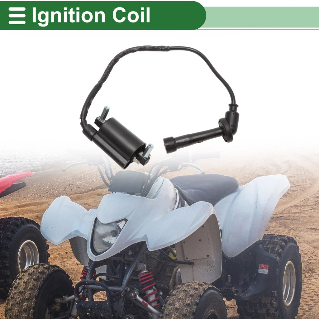 Ignition Coil for Suzuki Volty 250 (1999–2000)