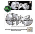 Etched Look Eagle Decal Sticker for Harley Davidson Motorcycle (HD)