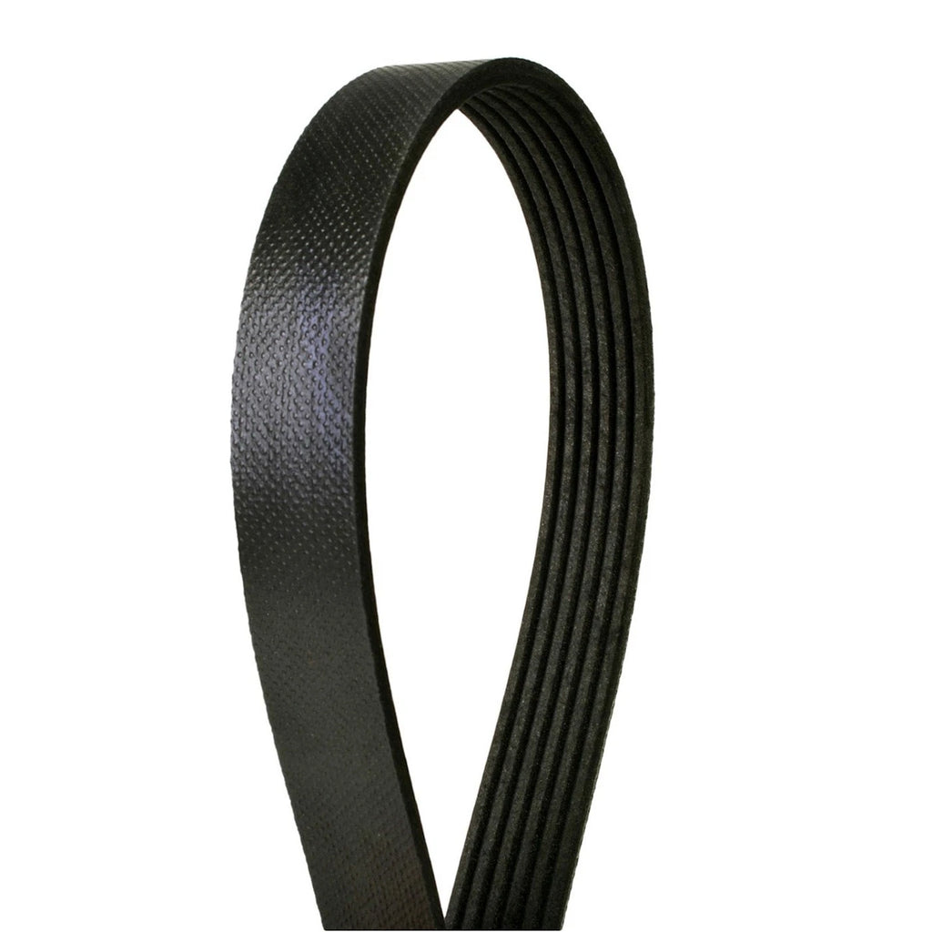 Serpentine Belt for Acura RDX TL TSX, Cadillac STS, Dodge
