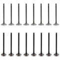 Set of 16 Intake & Exhaust Valves Kit for Kia Rio 1.5L L4 DOHC (2001–2002)