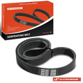 Serpentine Belt for BMW Dodge Ford Freightliner International 
