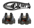Set of 2 Ignition Coils for Ford Lincoln Mercury 4.6L (Denso)