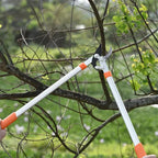 SK5 Steel Garden Tree Pruning Shears