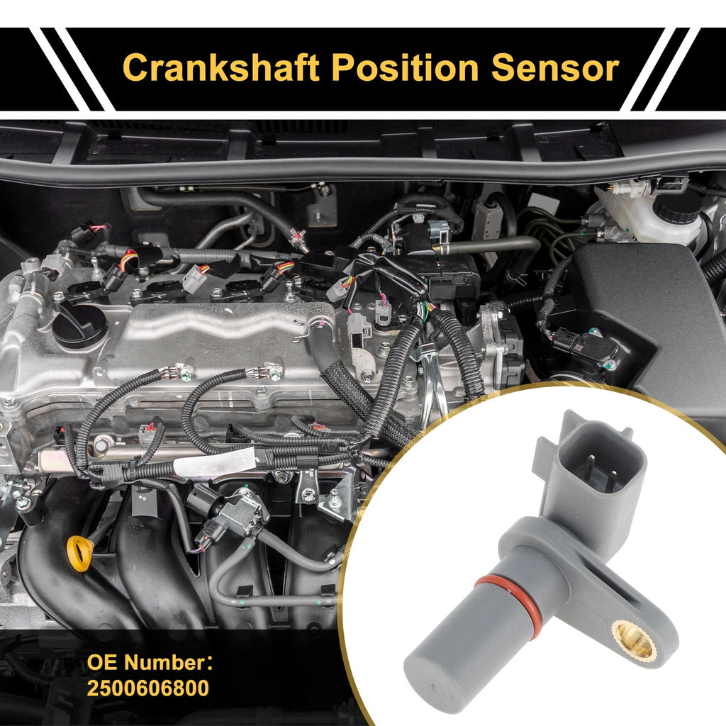1 Pc Crankshaft Position Sensor No.2500606800 for Ford Focus (2011–2016)