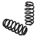 2X Rear Coil Springs for Toyota RAV4 (2006–2018)