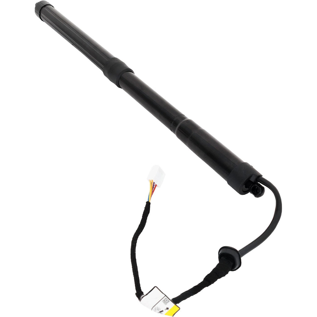 Liftgate Lift Supports for Toyota RAV4 (2019–2023)