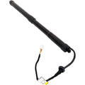 Liftgate Lift Supports for Toyota RAV4 (2019–2023)