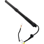 Liftgate Lift Supports for Toyota RAV4 (2019–2023)