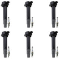 Set of 6 Ignition Coils & NGK Platinum Spark Plugs for Dodge Charger Magnum Nitro (2006–2010)