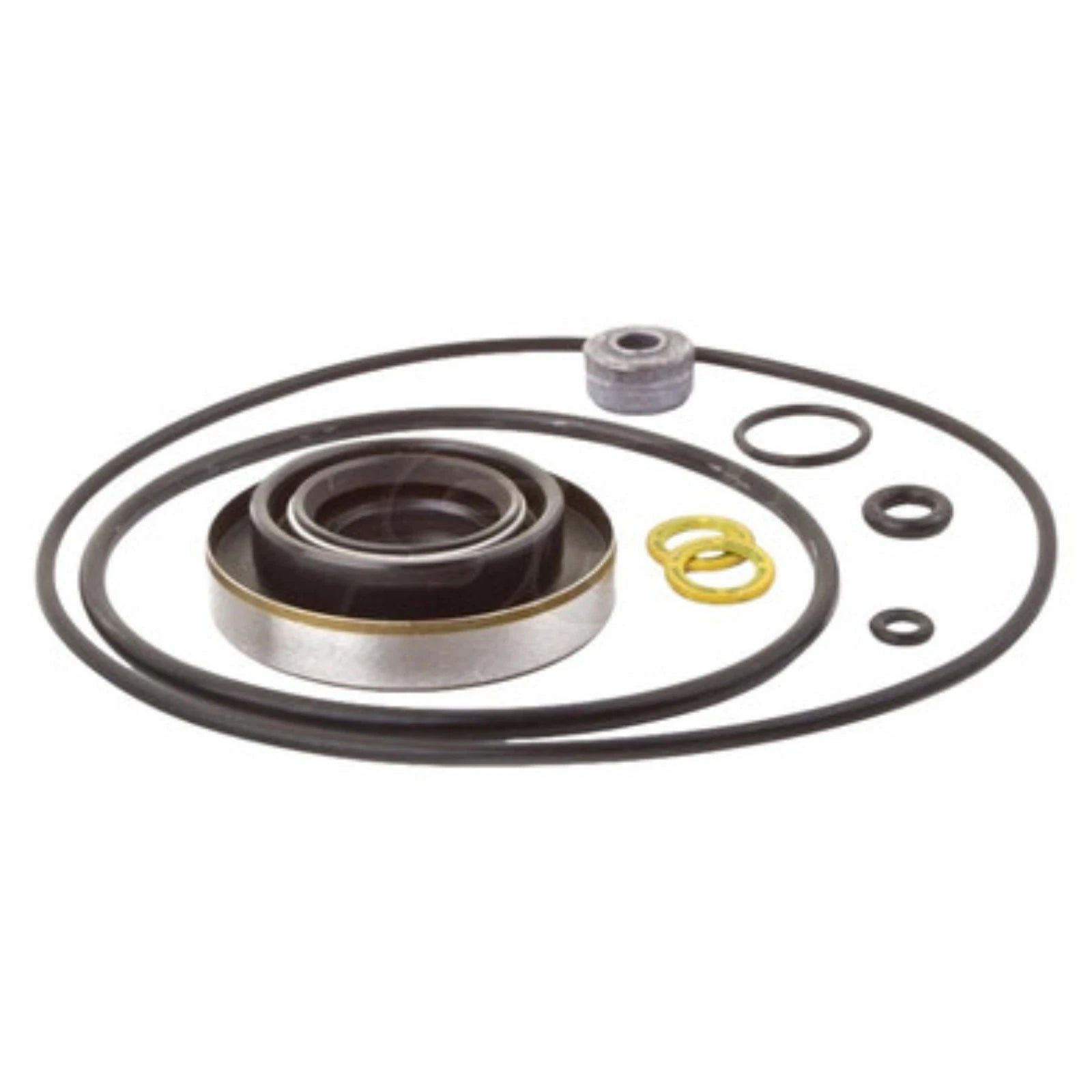 Seal Kit for Force 70-105HP Lower Gearcase (1970–1979) FK1061 18-2631 87801