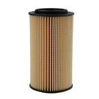 WIX Engine Oil Filter 57061 for Hyundai Azera Sonata Entourage KIA Sedona (2006–2019)