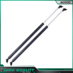 2X Rear Liftgate Hatch Tailgate Lift Support for Chrysler Dodge (2001–2007)