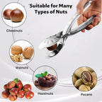 Stainless Steel Nut Opener Tool for Chestnuts (Universal Use)
