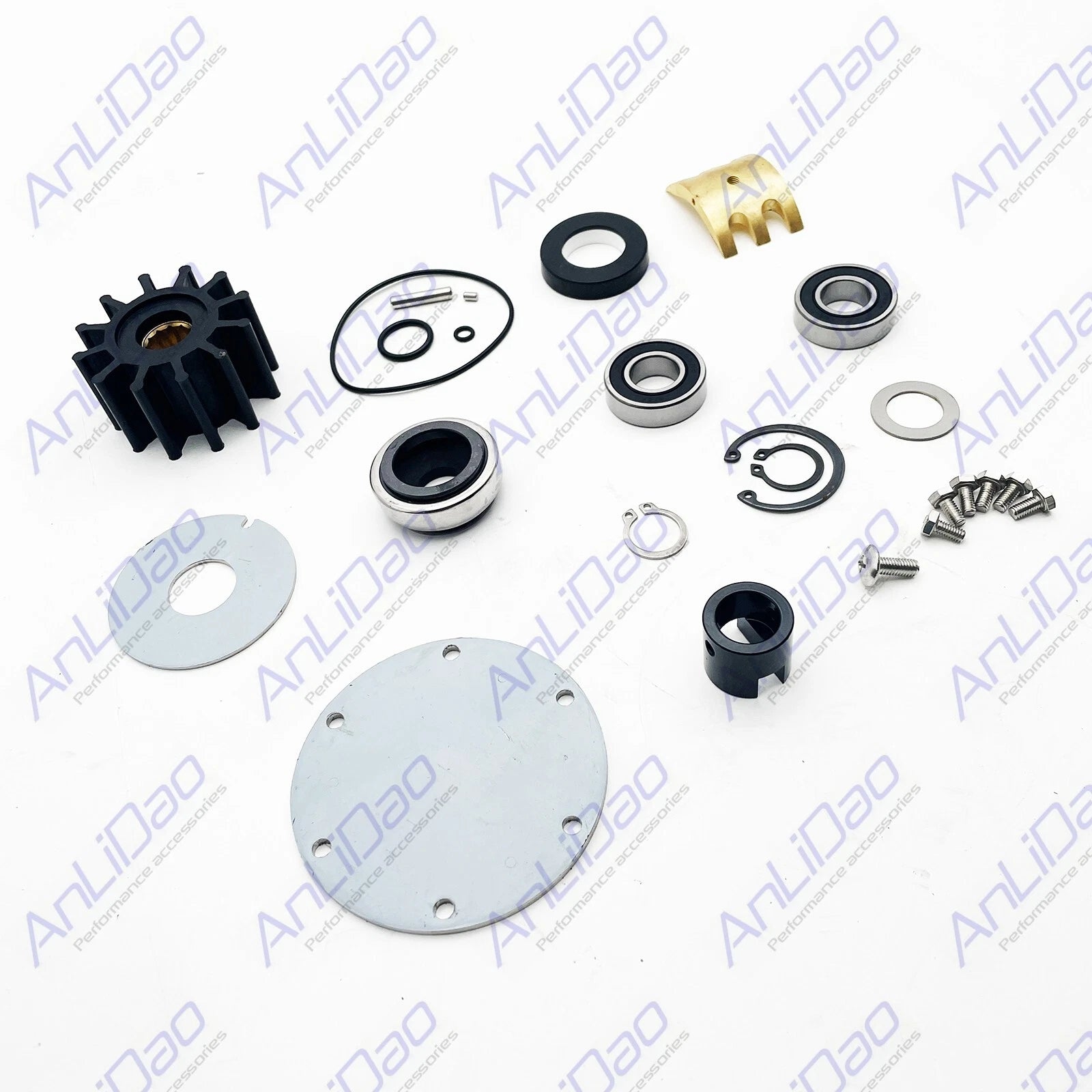 Engine Cooling Pump Repair Kit for Johnson Jabsco (10-24119-2, 32700001)