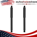 Set of 2 Rear Shocks Struts for Dodge Ram 1500 2500 (1994–2001)