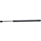 Lift Support Set for Ford Focus (2000–2007) Driver & Passenger Side