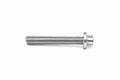 Belt Tensioner Bolt for BMW 328i, 328i xDrive, Z4, 128i (2007–2015) 11287530315