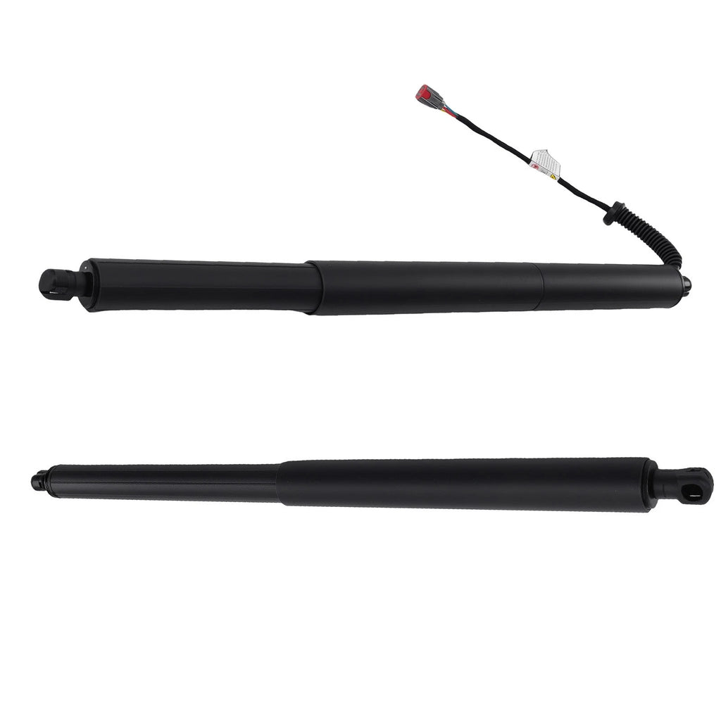 2PC Rear Tailgate Lift Supports for Ford Edge (2015-2018)