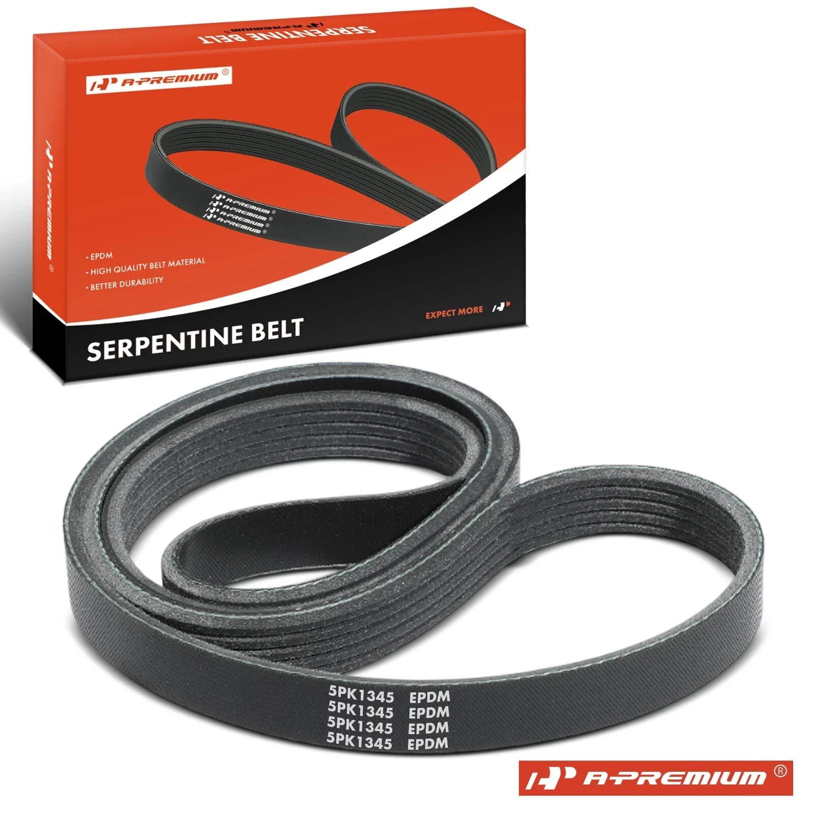 Serpentine Belt for Dodge Ram 50, Mitsubishi Mighty Max 