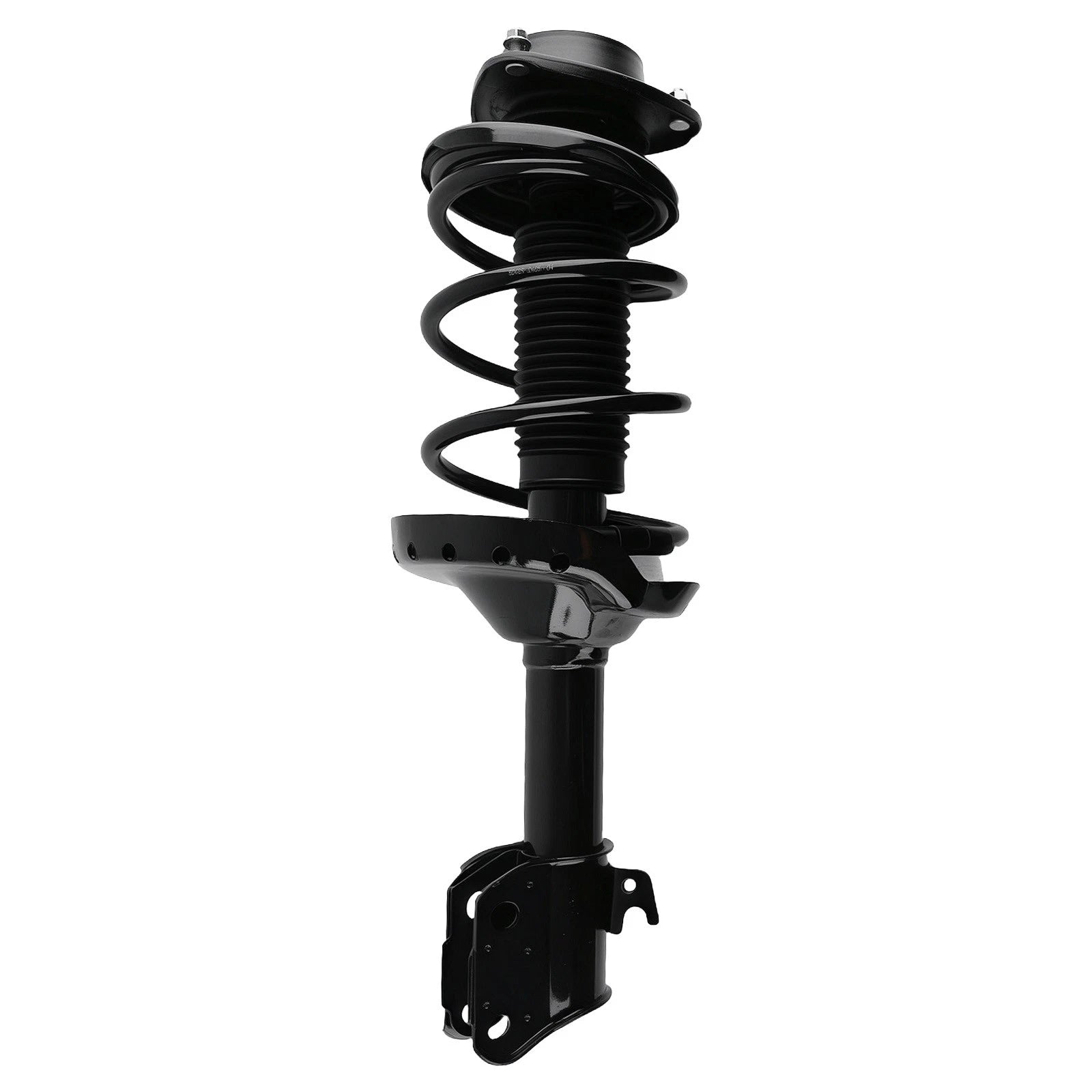 Set of 2 Struts w/ Coil Springs for Subaru Forester (2004–2005)