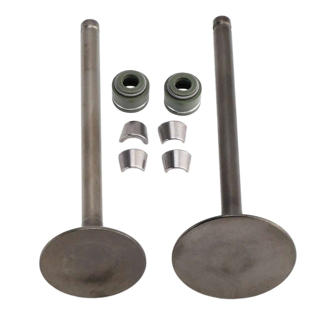 Valve Set Inlet & Exhaust for CG200 GS200 Dirt Bike ATV Quad