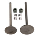Valve Set Inlet & Exhaust for CG200 GS200 Dirt Bike ATV Quad