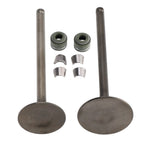 Valve Set Inlet & Exhaust for CG200 GS200 Dirt Bike ATV Quad