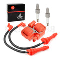 Ignition Coil & Spark Plug & Cap Wire for Polaris RZR Trail S 4 900 (2015–2023)