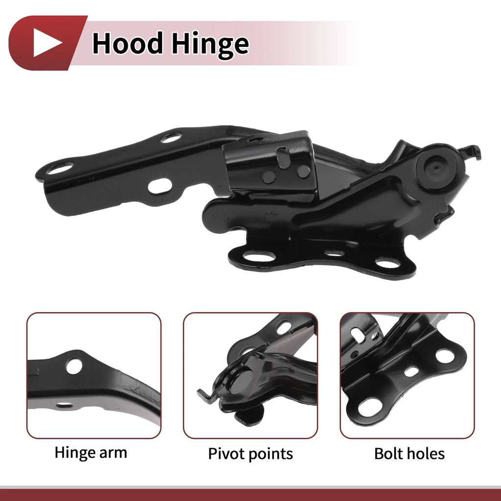 Hood Hinge for Toyota Camry (2018) Left Side 1 pcs