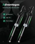 Front Shocks Struts Set of 2 for Honda Civic (1992–1995) Acura Integra (1994–2001)