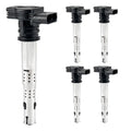 Ignition Coil Set for VW Jetta Audi Q5 (2002–2005)