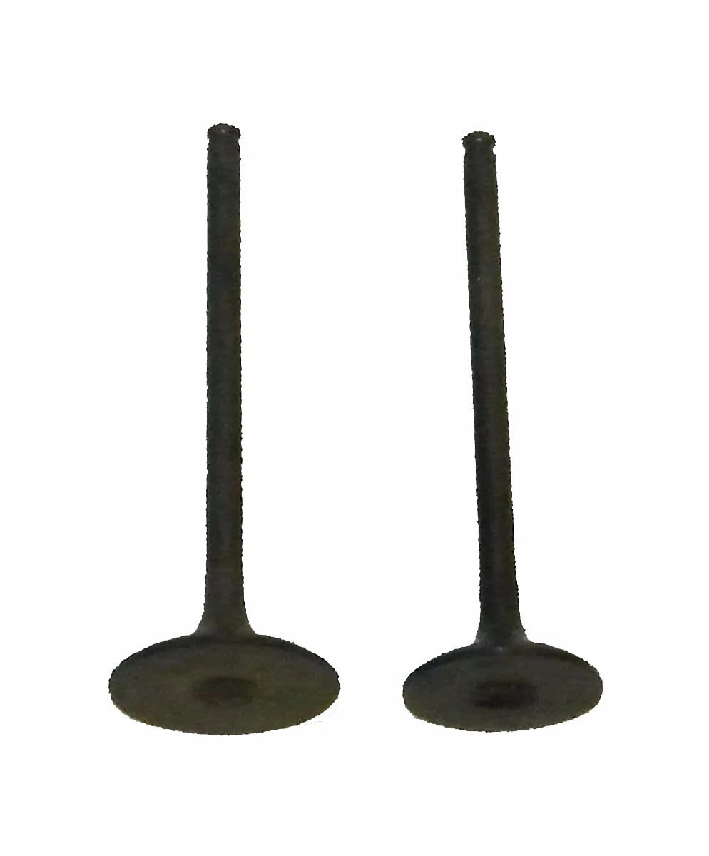 Engine Valve Kit for Honda 250 ATC/TRX (1985–1987) 017-019