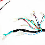 Electric Start Engine Wiring Harness for PITPRO Quad Dirt Bike ATV (B)