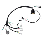 Wiring Harness for Honda TRX300EX (1993–2004)
