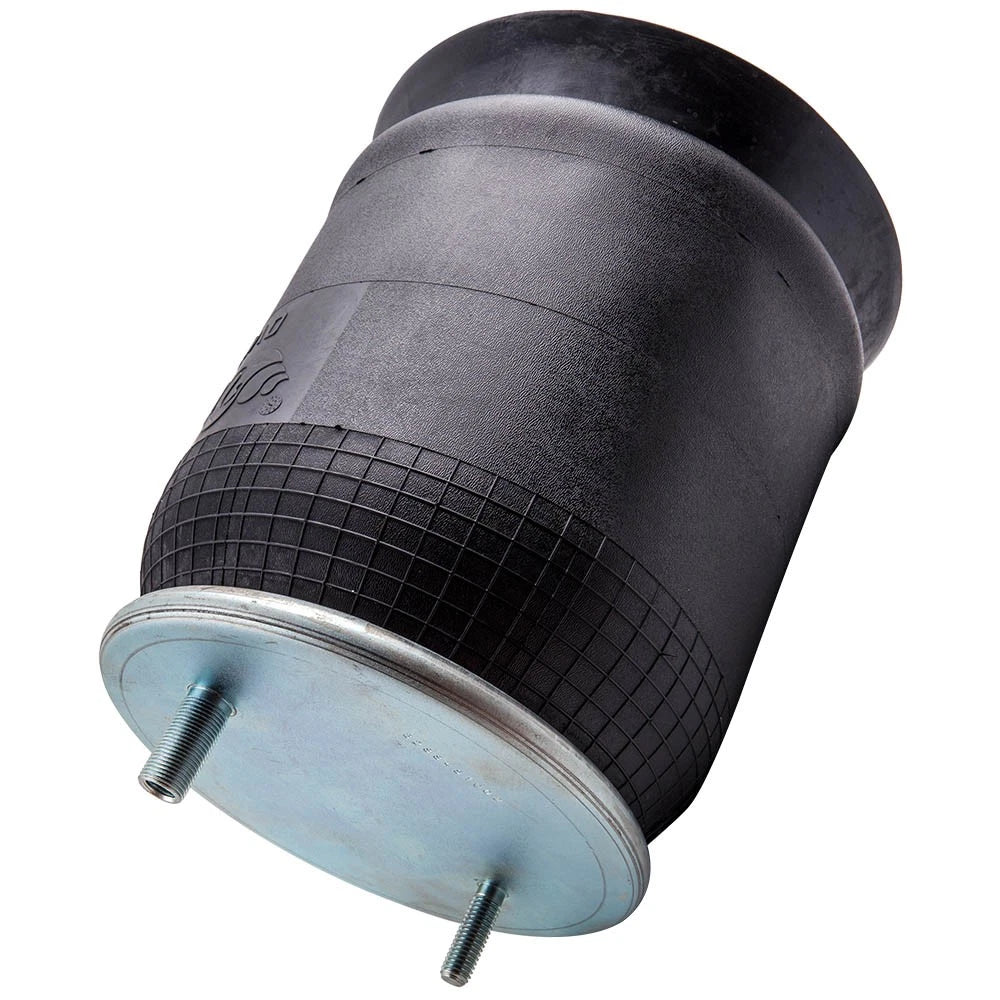Set of 2 Air Strut Suspension Bags for Truck (L/R)